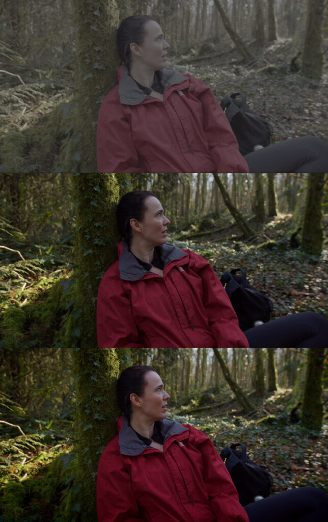 Stills of a woman in a red coat with different colour grades. 