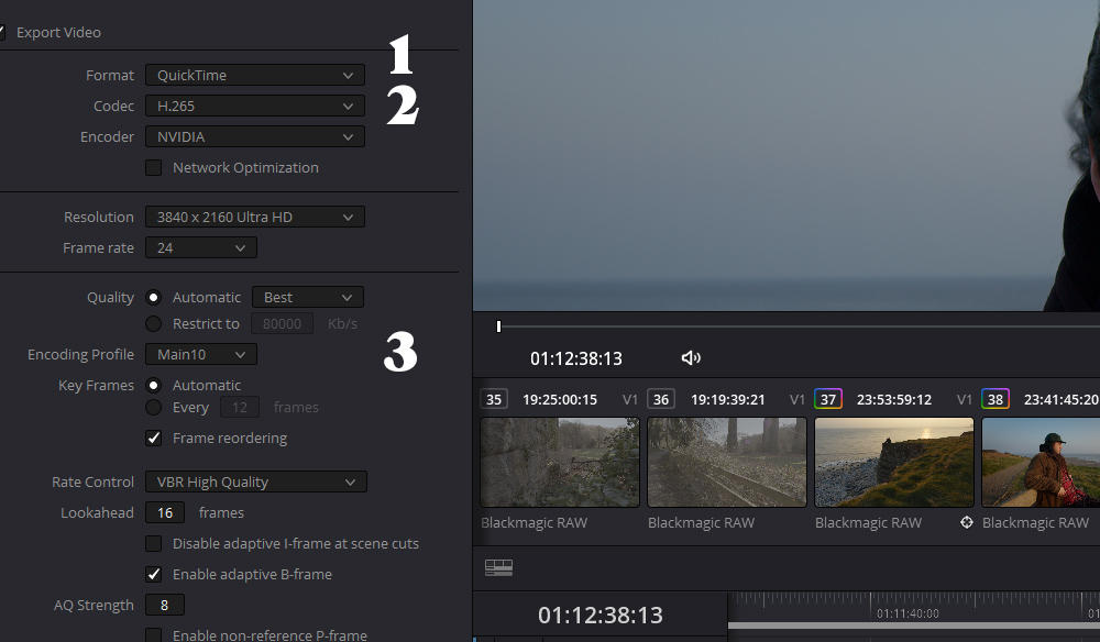 Screenshot close-up on DaVinci Resolve with number steps on the Export Video menu. 