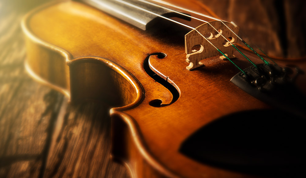 Close-up of a violin.