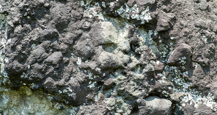 Image of coastal rocks.