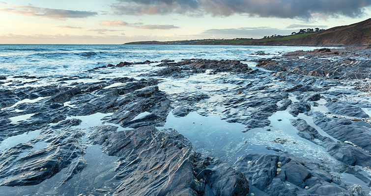 Coastal image with wet rocks during a receding tide. 