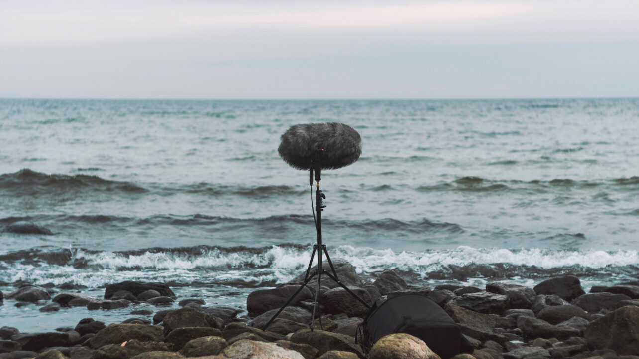A Beginner’s Guide to Field Recording